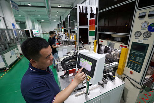 安徽合肥 培育科技型中小企業(yè)，以計(jì)算機(jī)軟硬件技術(shù)開(kāi)發(fā)推動(dòng)高質(zhì)量發(fā)展